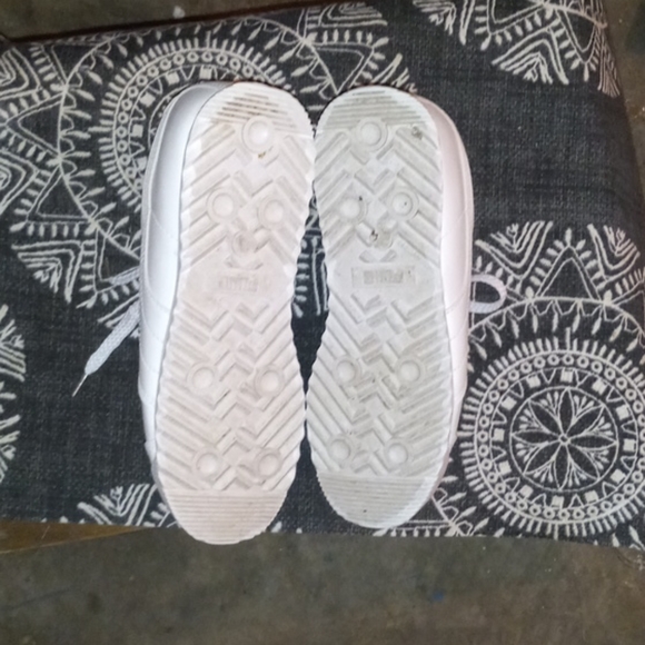 Pumas - Picture 9 of 12